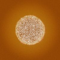 Dolph - True Hallucinations