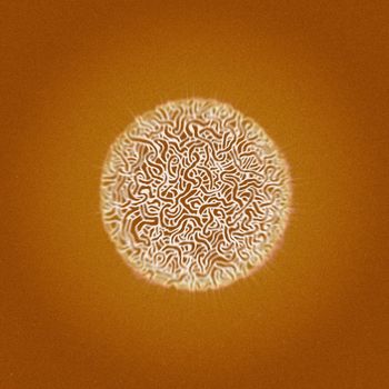 Dolph - True Hallucinations