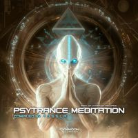 T3ssla - Psytrance Meditation