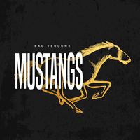 Bad Vendôme - Mustangs