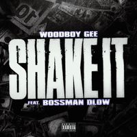 Woodboy Gee - Shake It (feat. BossMan Dlow) (Explicit)