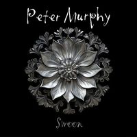 Peter Murphy - Swoon