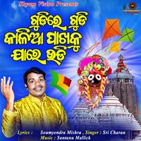 Sri Charan - Gudire Gudi Kalia Pakhaku Jaare Udi