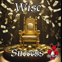 WISE - Success (Explicit)