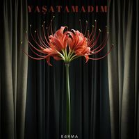 K4RMA - Yaşatamadim