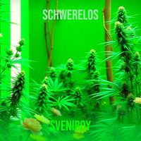 Sveniboy - Schwerelos