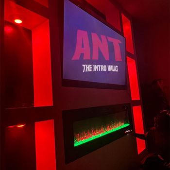 ANT - The Intro Vault (Explicit)