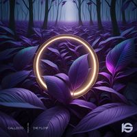 Callisto - The Flow