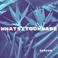 Darion - whatsitgonnabe