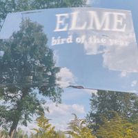 Elme - Bird Of The Year