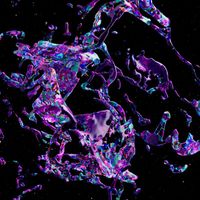 Helena Hauff - Touching Plastic