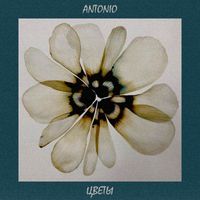 ANTONIO - Цветы