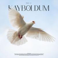 MEG - Kayboldum