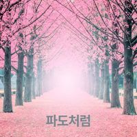 SOAR - 파도처럼
