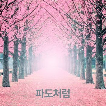 SOAR - 파도처럼