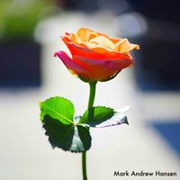 Mark Andrew Hansen - Old Times At Heart (Solo Piano Version)