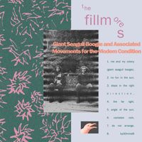 The Fillmores - Giant Seagull Boogie and Associated Movements for the Modern Condition