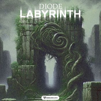 Diode - Labyrinth