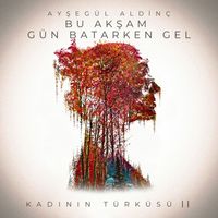 Ayşegül Aldinç - Bu Akşam Gün Batarken Gel (Kadının Türküsü II)