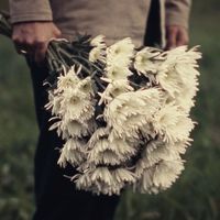 Stinky - Mourning Flowers
