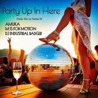 Amuka - Party Up In Here