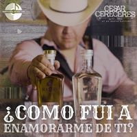 Cesar Cereceres - Como Fui A Enamorarme De Ti