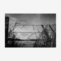 Crossover Network - Laughter Forever After