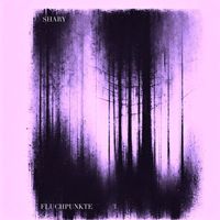 Shary - Fluchtpunkte 3