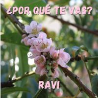 Ravi - ¿Por qué te vas? (Explicit)