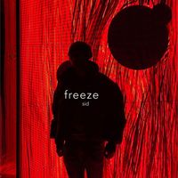 SID - freeze
