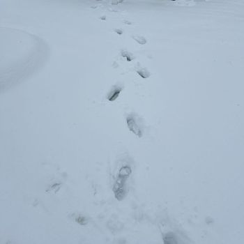 OBM - So given (Explicit)