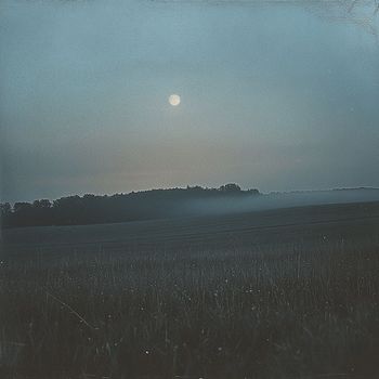 John Lee - Moonlight Walks
