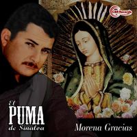 El Puma De Sinaloa - Morena Gracias