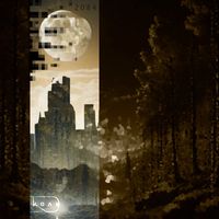 Koan - 2084