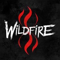 Wildfire - Lucky One (Explicit)