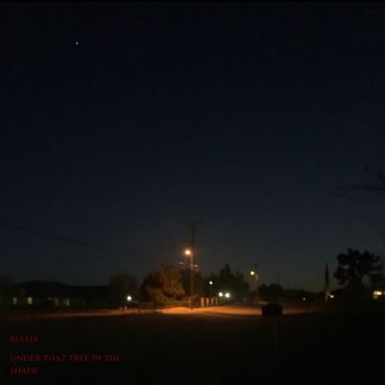 bleed - Under That Tree in the Shade (Explicit)