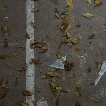 TOM - yo después de un mate