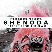 Shenoda - Letters from the B.A.G