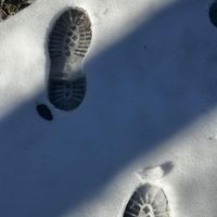 IoN - 4 Bros (Explicit)