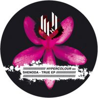 Shenoda - True