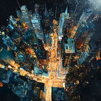 vvzm - Night bird