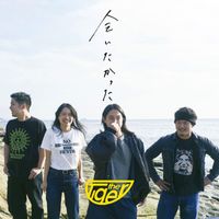 the Tiger - I wanted to meet you