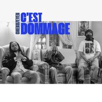 QUEST and Cheko7even - C'est dommage