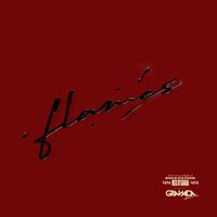 GRANADA - FLAMES