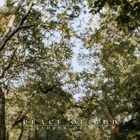 Andrew Osenga - Peace of God
