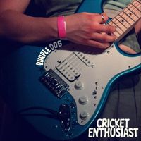 Purple Dog - Cricket Enthusiast