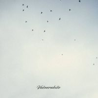 Kubo - Vulnerabile