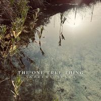 Andrew Osenga - The One True Thing
