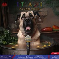 Payam Turk - It Aşi