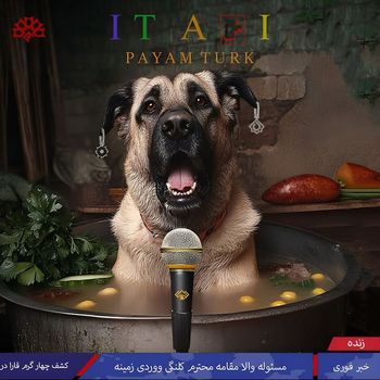 Payam Turk - It Aşi